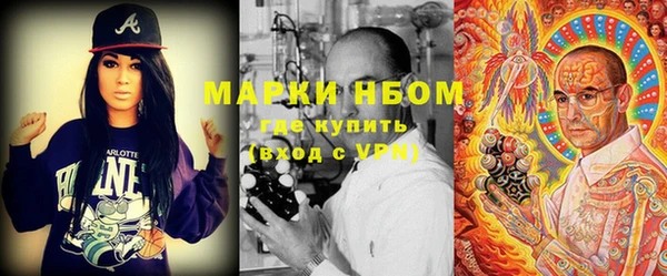 крисы Соль-Илецк