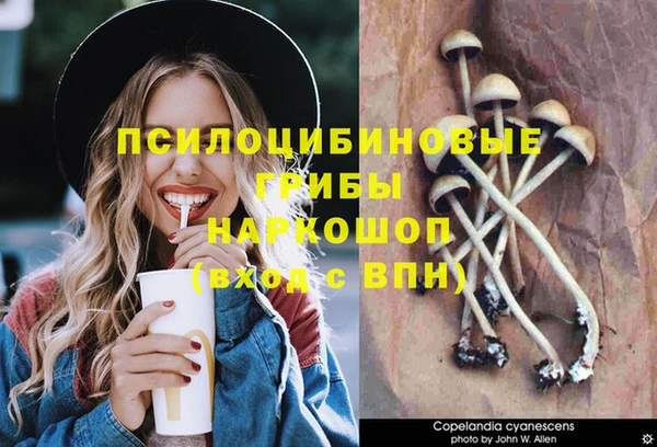 MDMA Premium VHQ Туринск