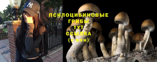 a pvp Тында
